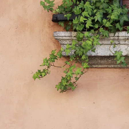 Bed & Breakfast Casa Isolani Charms Santo Stefano 3*